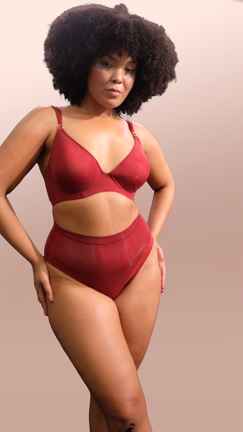 Le Curve - Wine in the library