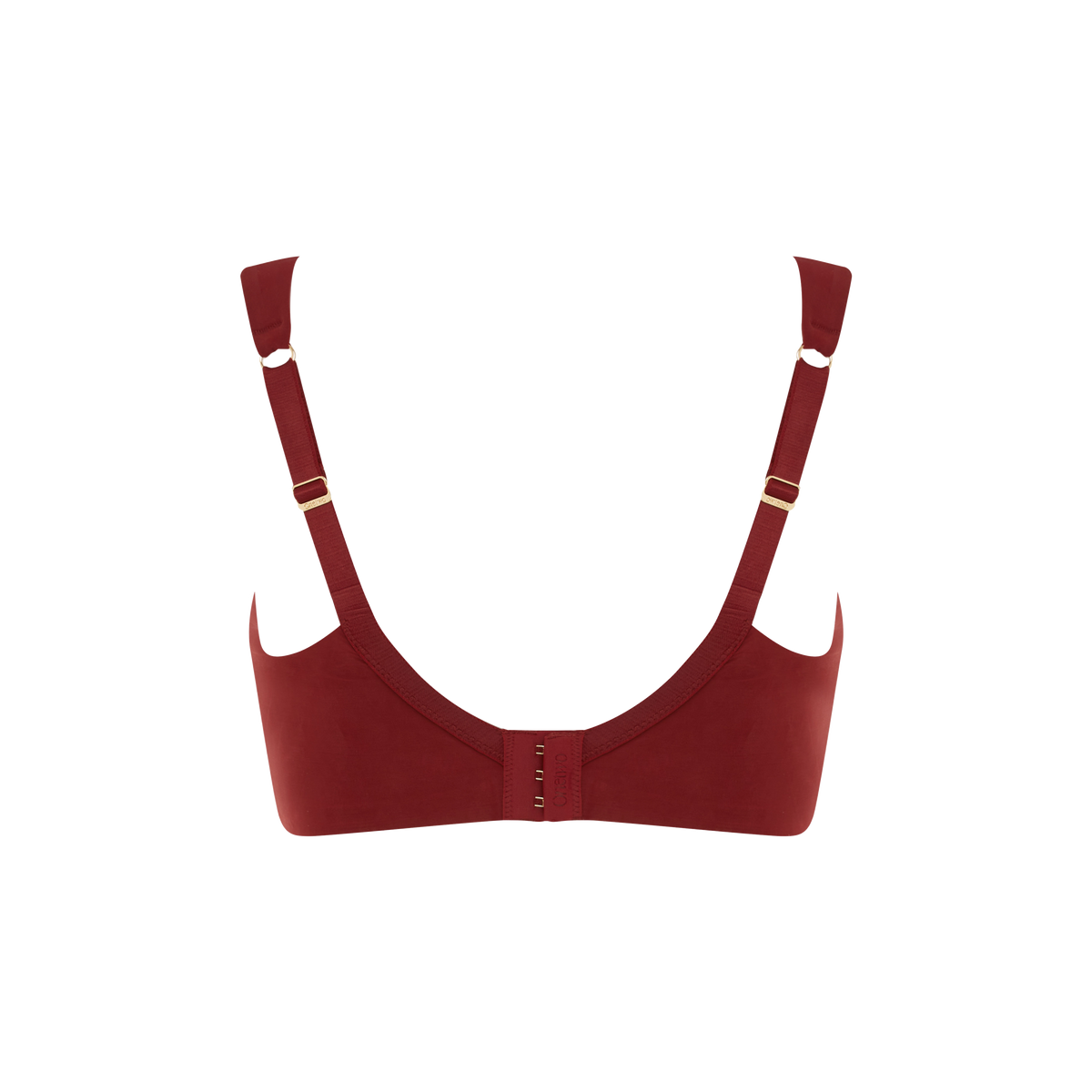 Le Curve - Wine in the library